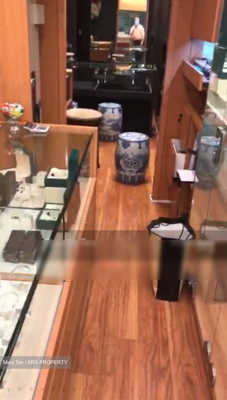 Lucky Plaza (D9), Shop House #298962821